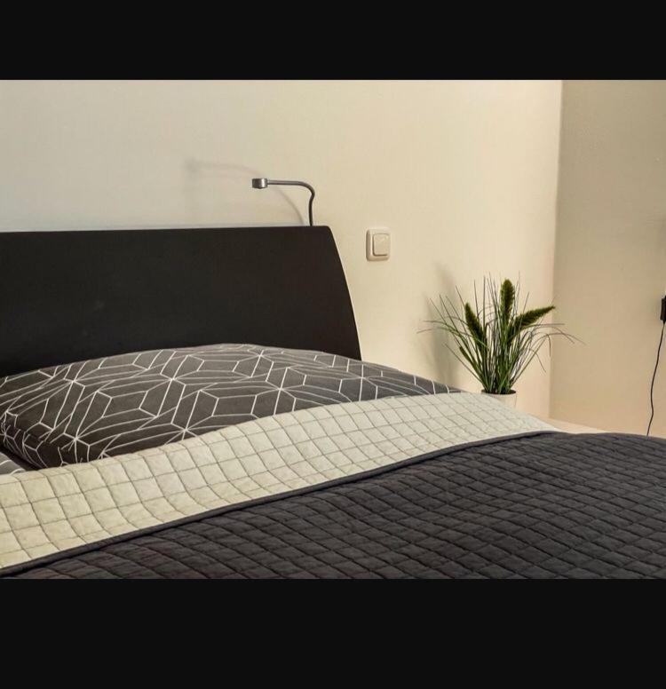 Zimmer - Modernes Apartment mit 45 qm. Straubing Exterior foto