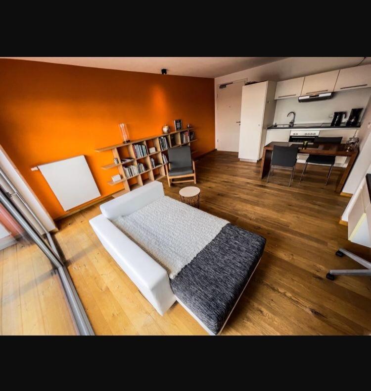 Zimmer - Modernes Apartment mit 45 qm. Straubing Exterior foto